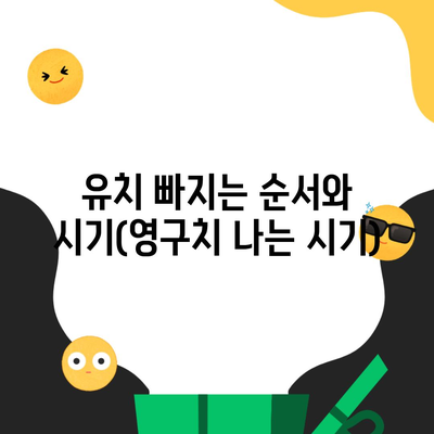 유치 빠지는 순서와 시기(영구치 나는 시기)