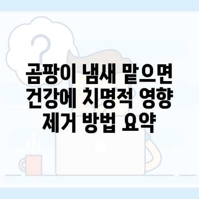 곰팡이 냄새 맡으면 건강에 치명적 영향 제거 방법 요약