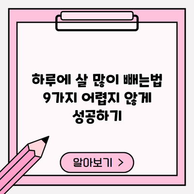 하루에 살 많이 빼는법 9가지 어렵지 않게 성공하기