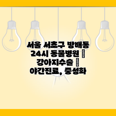 서울 서초구 방배동 24시 동물병원 | 강아지수술 | 야간진료, 중성화