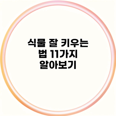 식물 잘 키우는 법 11가지 알아보기