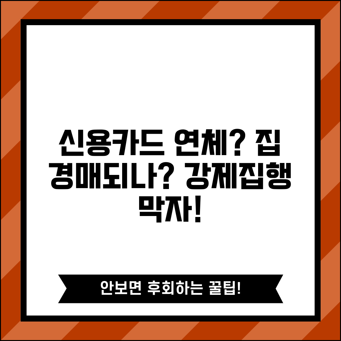 신용카드 연체 집 압류 되나 | 신용카드 연체로 인한 강제집행과 주택 압류 가능성