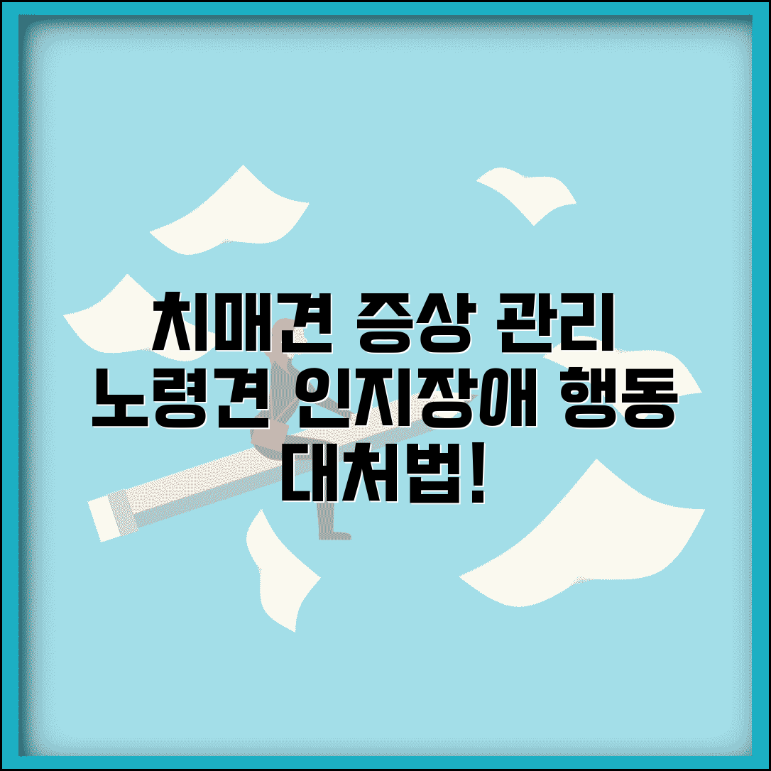 강아지 치매 증상 인지 장애 치료 관리 | 노령견 치매 행동 대처