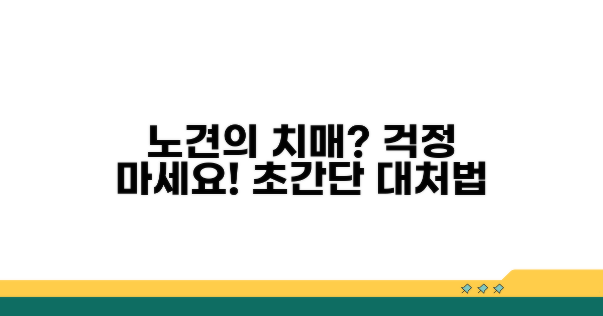 노령견 인지 장애, 어떻게 대처할까?