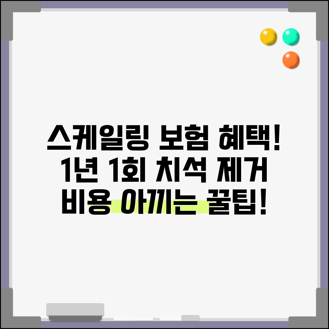 치석 제거 스케일링 비용 | 스케일링 보험 1년 1회