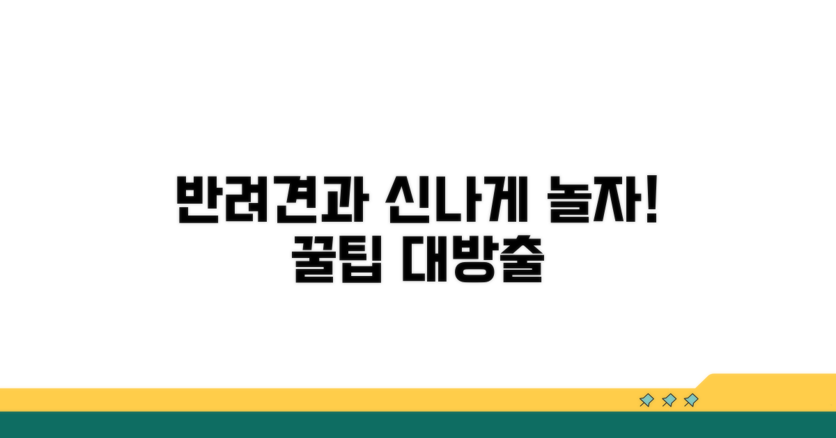 반려견과 즐거운 시간 보내기 팁