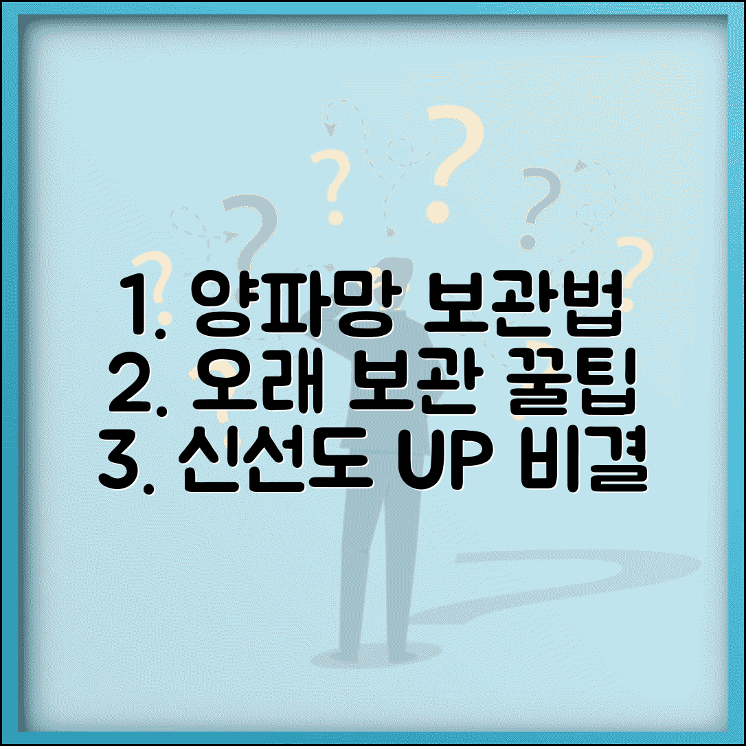 양파 보관법 망에 보관 | 양파 오래 보관하는 방법 꿀팁 | 신선도 유지 비결