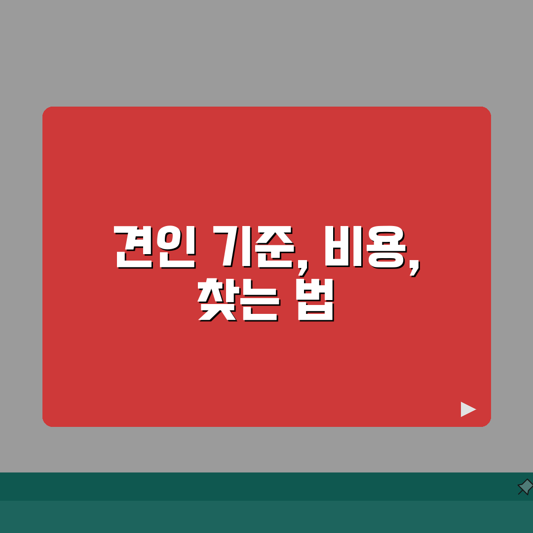 불법주차 견인 기준 및 비용 | 차량 찾는 방법 및 이의제기 A to Z: 5가지 핵심 정