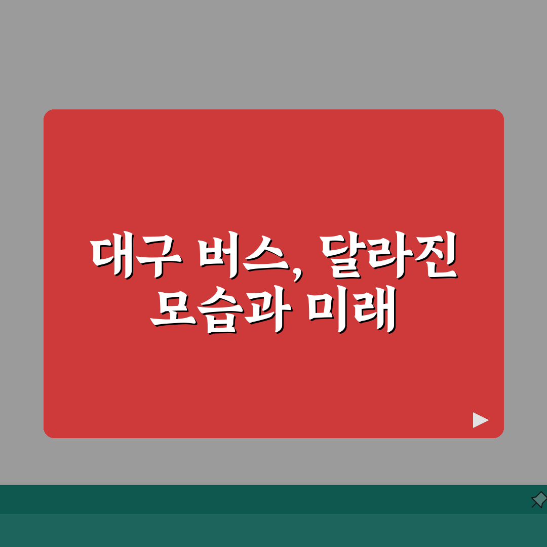대구 버스노선 개편 정보 | 최근 변경된 노선과 신설 정보 리얼리뷰, 직접 타봤어요