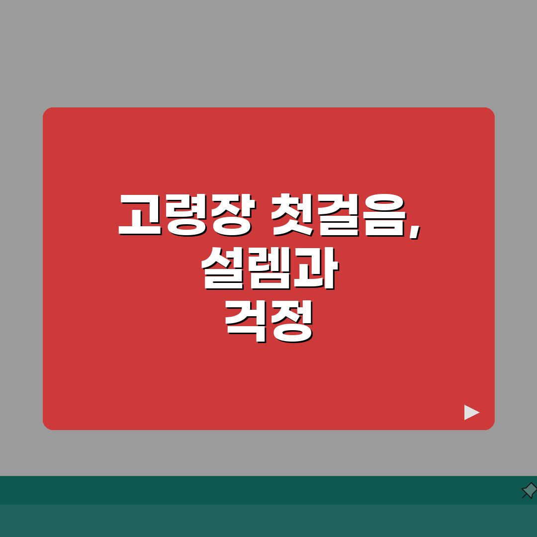 고령장 방문 완벽 가이드 | 5일장 일정 및 운영시간 | 구역별 판매 품목 및 추천 코스