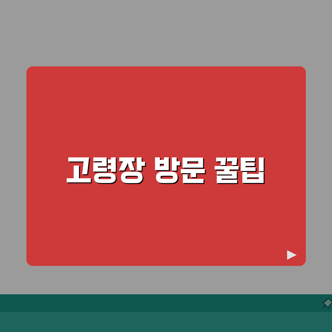 고령장 방문 완벽 가이드 | 5일장 일정 및 운영시간 | 구역별 판매 품목 및 추천 코스