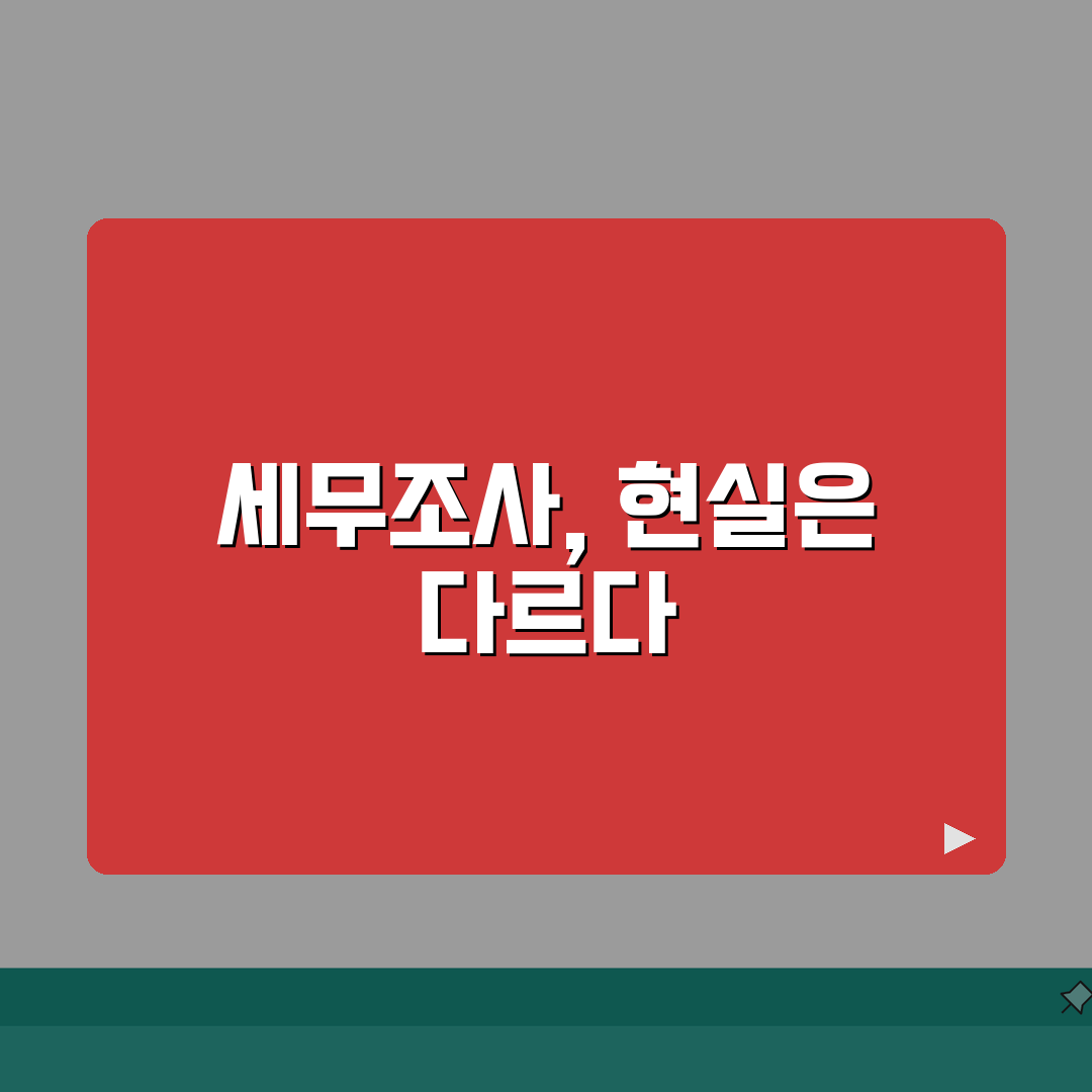 세무조사 나올 확률 얼마나 되나요 | 세무조사 | 선정기준 | 확률 솔직후기, 직접 겪어보