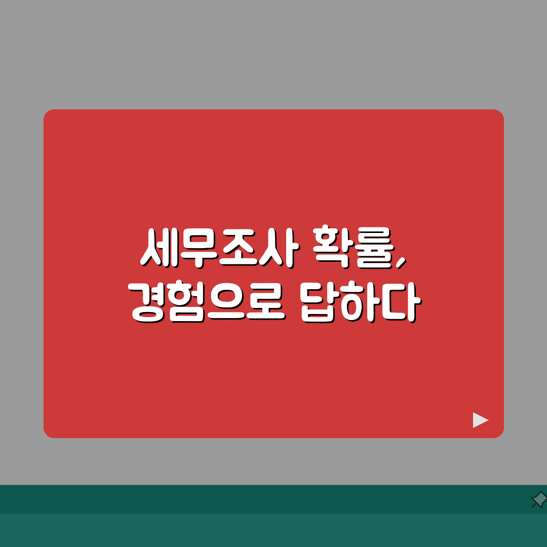 세무조사 나올 확률 얼마나 되나요 | 세무조사 | 선정기준 | 확률 솔직후기, 직접 겪어보