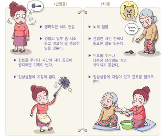 치매와 단순 건망증의 차이를 비교한 이미지