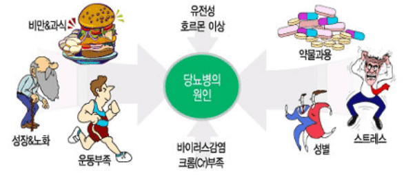 당뇨병을 유발하는 여러 원인을 정리한 이미지