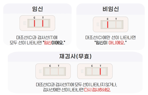 임신테스트기 결과를 판독하는 방법
